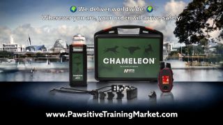 🎉 Welcome to Pawsitive Training Market! 🐾 We're here to guide you and your four-legged friends on the path to perfect...
