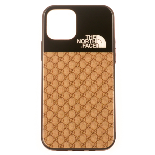 IPHONE 11 Pro - Sklenený obal - The North Face