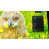 NVIDIA GeForce GTX 745 videókártya 2GB 128bit – Low Profile - Fujitsu
