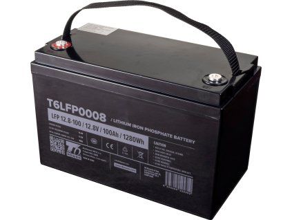 T6LFP0008 s s