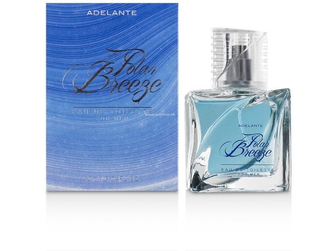 81380 cobeco polar breeze men 90 ml