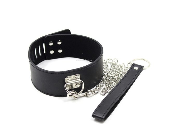 leather collar with leash (1)