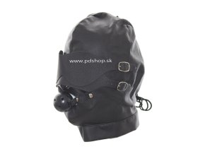 leather collar with leash (3)