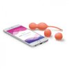 1304 we vibe bloom vibrating kegel balls