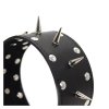 leather collar with leash (1)