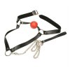 ball gag with collar (1)