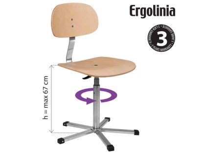 ERGOLINIA 10004