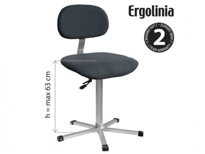 ERGOLINIA EVO2