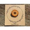 Brož Měsíček lékařský