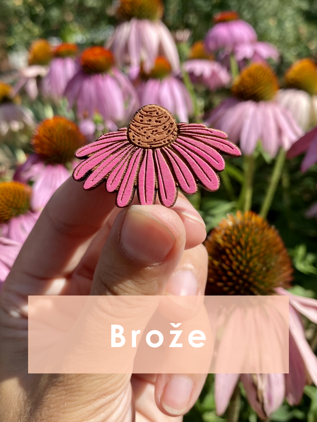 Brože
