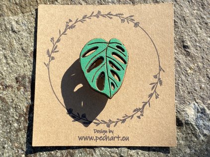 Brož Monstera adansonii