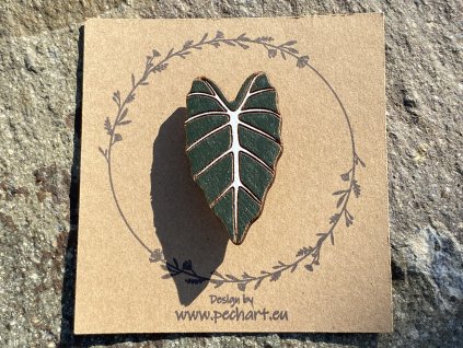 Brož Alocasia Frydek