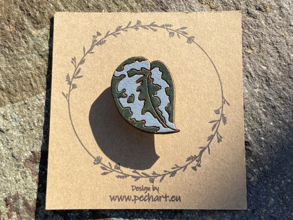 Brož Scindapsus pictus Exotika