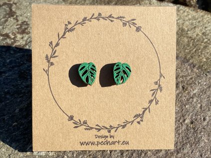 Náušnice Monstera adansonii