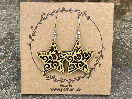 Náušnice Vánoční hvězdy