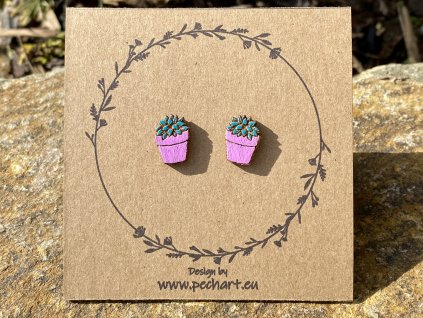 Pokojovky - fialový květináč