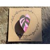 Brož Philodendron Pink Princess