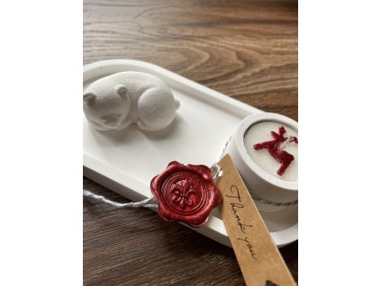 Photo 25.08.2024 16 17 55