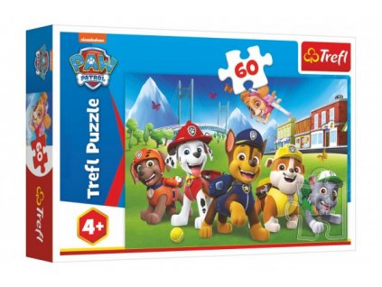 Puzzle Paw Patrol/Tlapková patrola v trávě 33x22cm 60 dílků v krabici 21x14x4cm