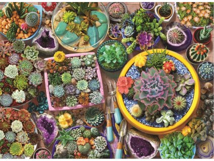 ANATOLIAN Puzzle Kaktusové květináče 1000 dílků