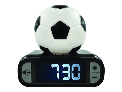 d6921951527131 lxbrl800fo 1