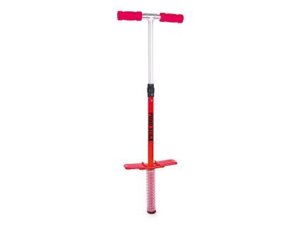 9507.pogostick