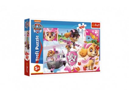 Puzzle Paw Patrol/Tlapková patrola Skye v akci 41x27,5cm 100 dílků v krabici 29x19x4cm