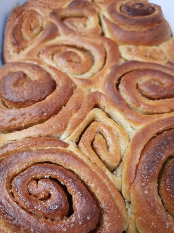 Škoricová dobrota (osie hniezda)