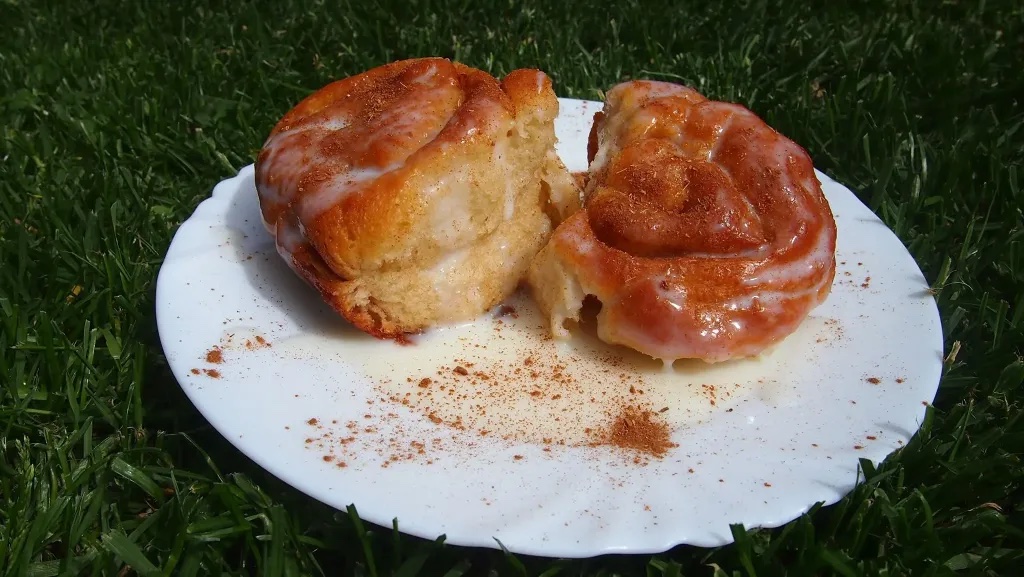 Škoricová-dobrota-osie-hniezda