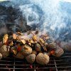F&S Drevené chipsy na údenie cezmínolisty dub 200 g