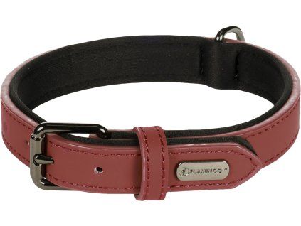 Flamingo 280620231350367954