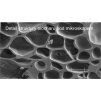 DR UHLI Biochar struktura 250420240815207619