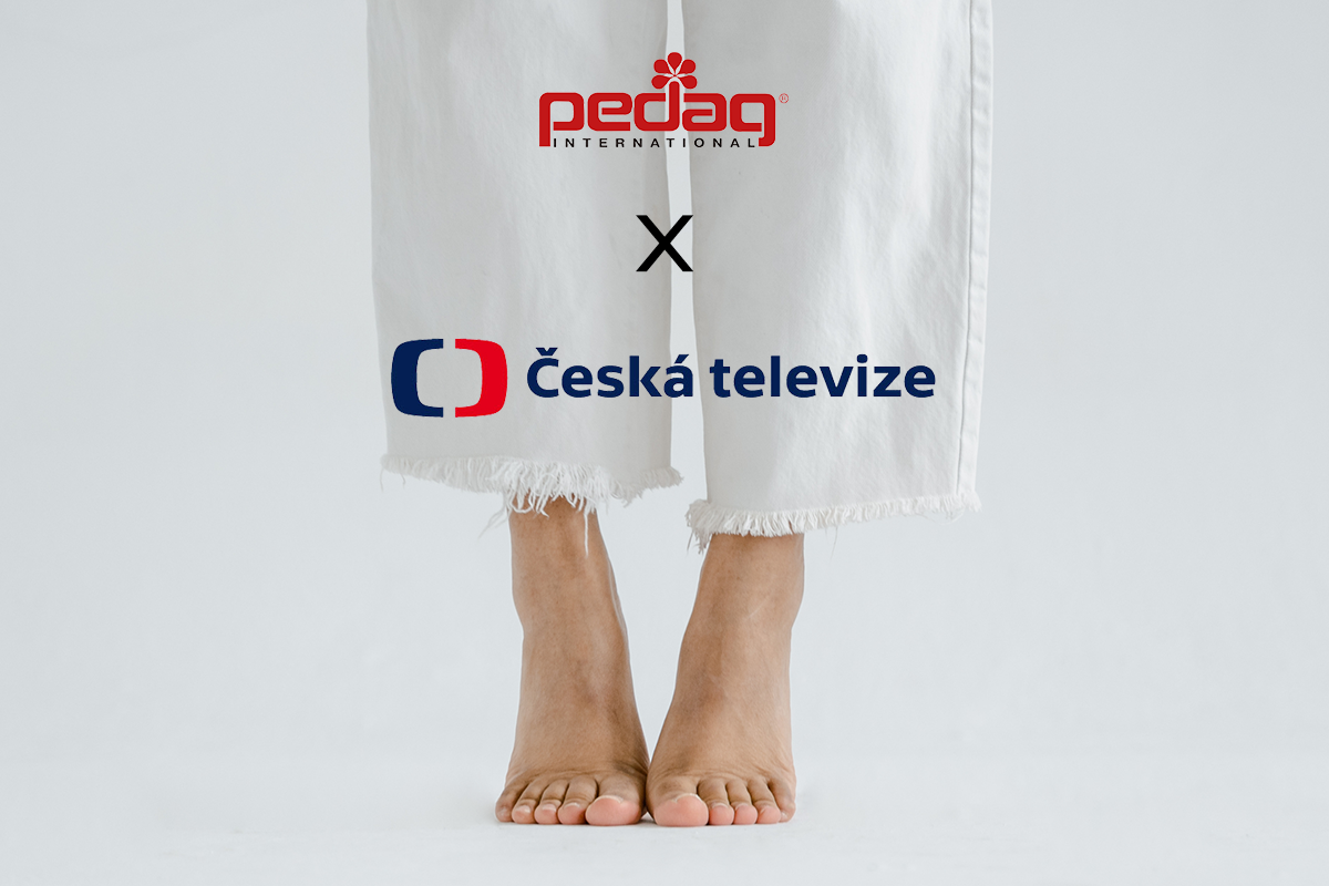 pedag v České televizi