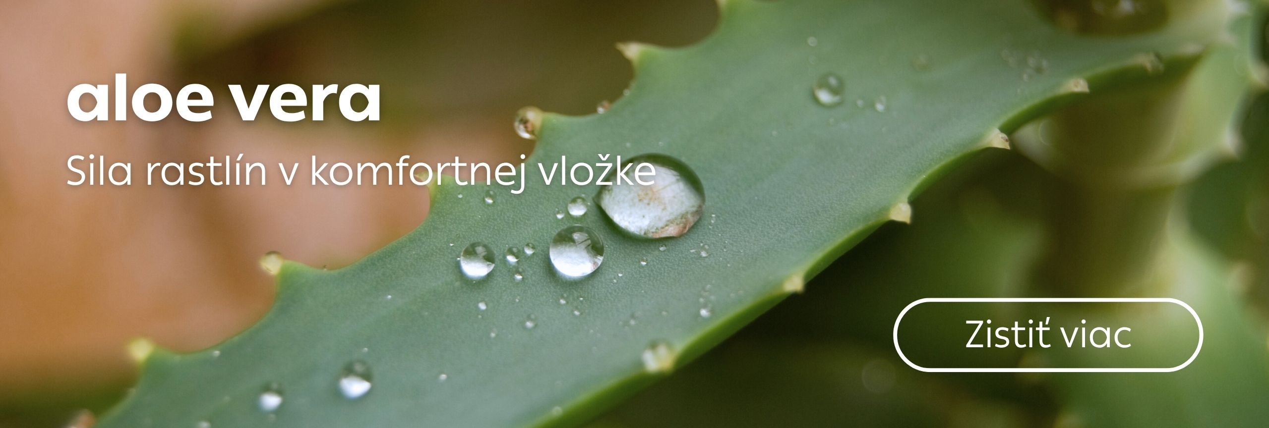 aloe vera vložka