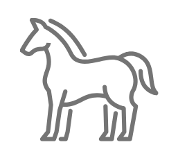 20 let zkušeností v obchodě