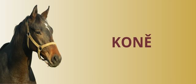 KONĚ