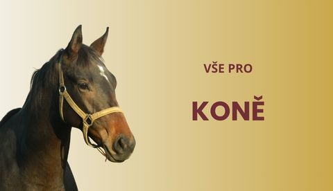 koně