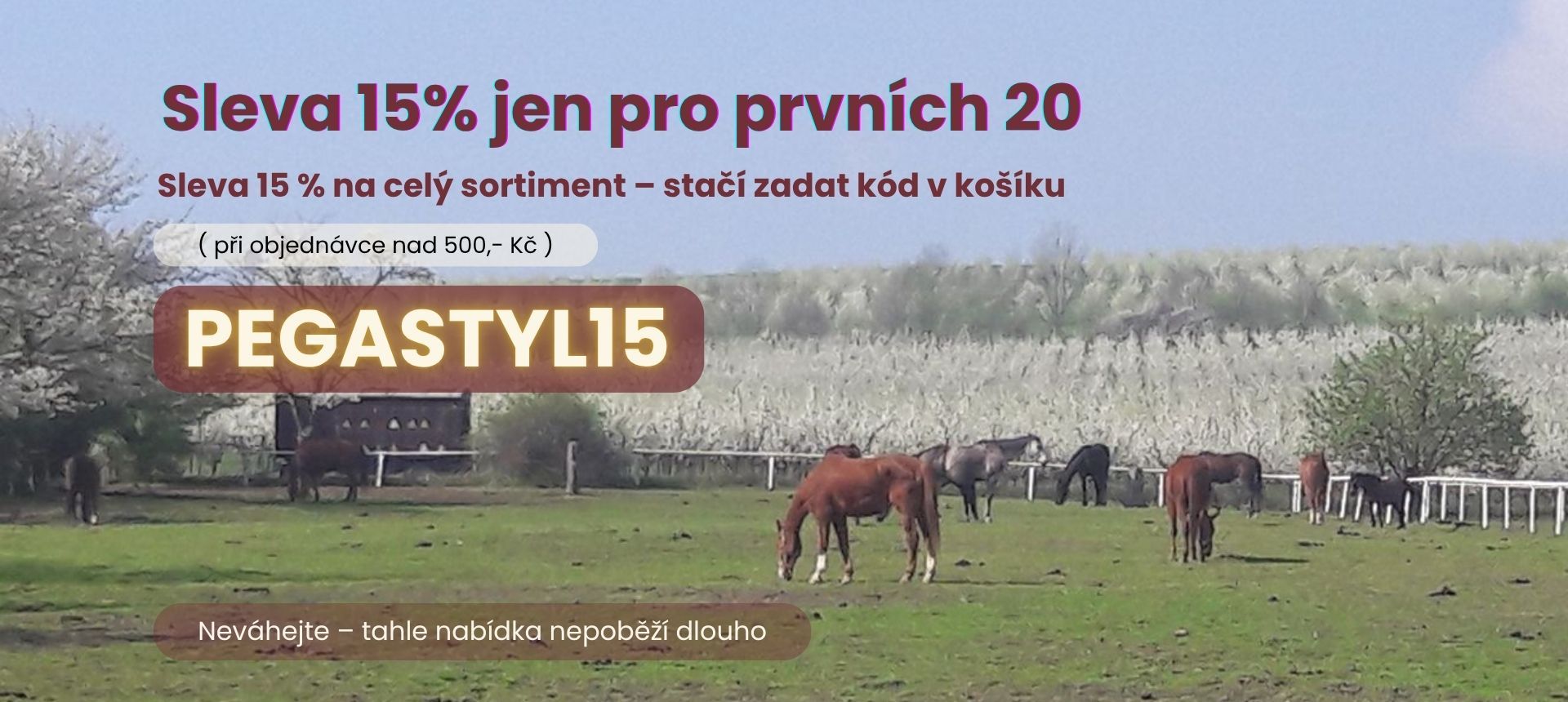 kod Pegastyl15