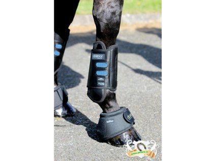 chranice dalmar steeple 2