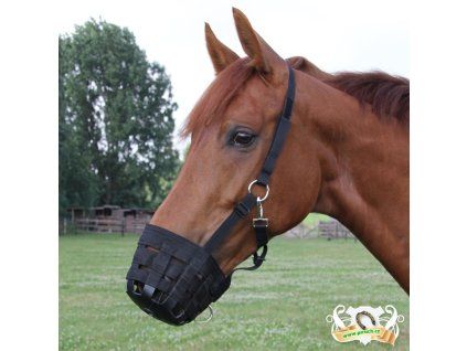 NÁHUBEK pro koně (Barva černá, Velikost shetty)
