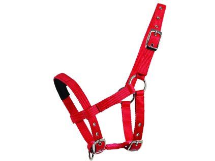 ohlávka minichetty čv