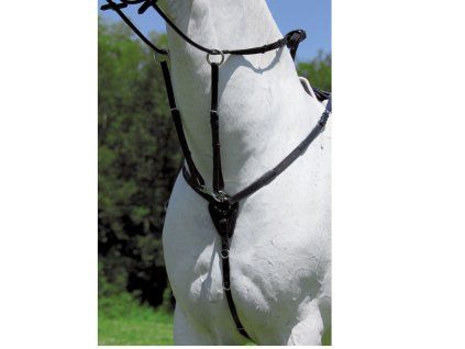 POPRSÁK s martingalem Star (Velikost pony)