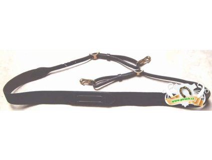 poprsnik elasticky kentaur