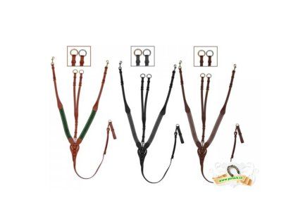 poprsnik s martingalem5 1