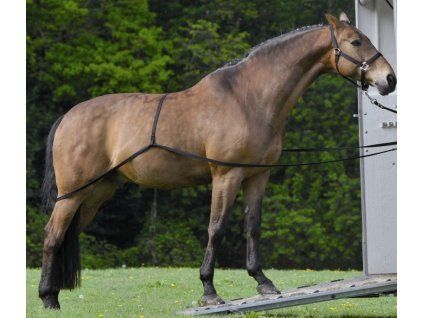 popruhy pro nakladani kone