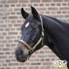 Ohlávka nylonová reflexní (Barva šedá, Velikost pony)