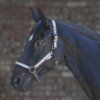 Ohlávka nylonová reflexní (Barva šedá, Velikost pony)