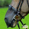 SÍŤKA na ochranu nosu (Barva černá, Velikost pony)