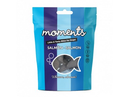 moments salmon 600x600