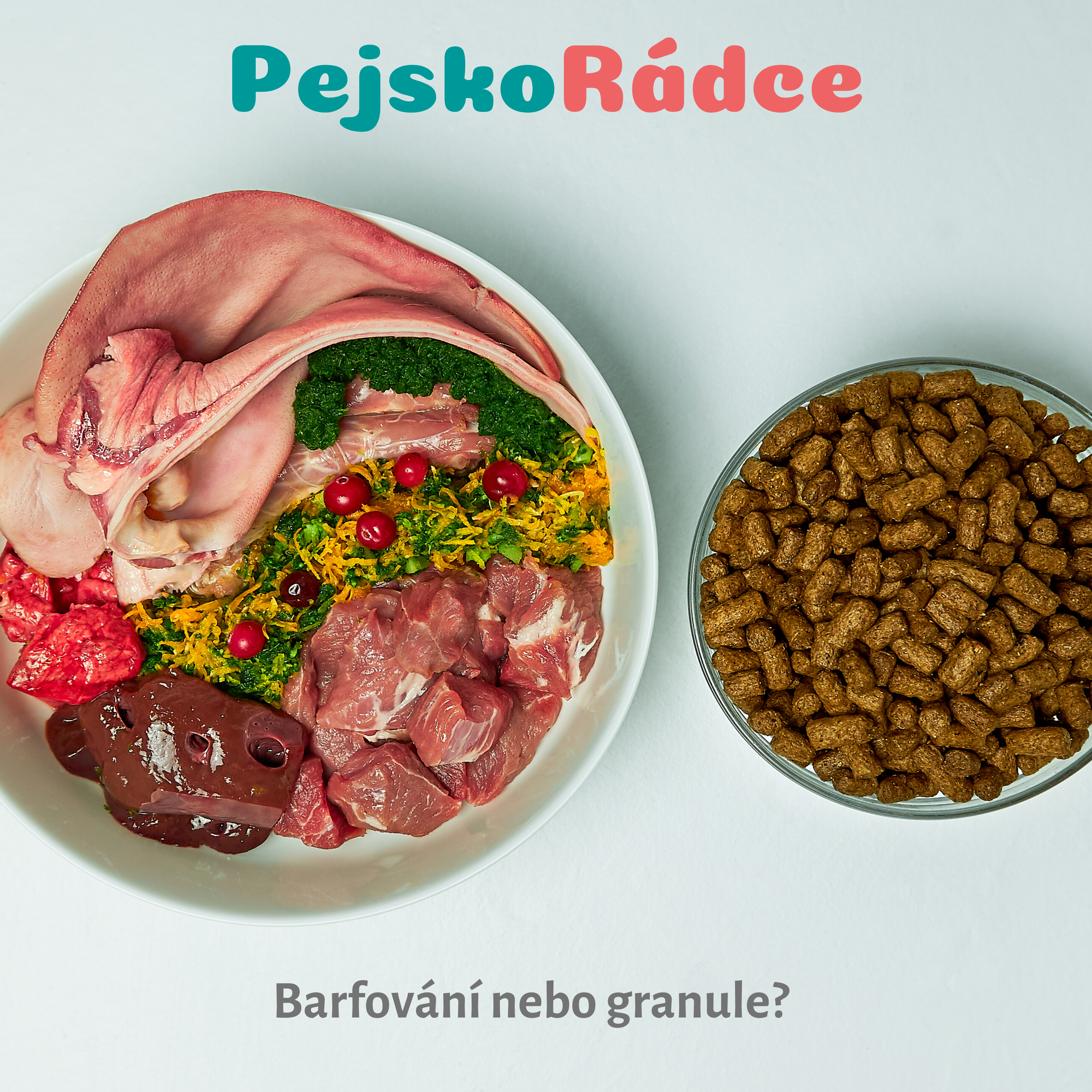 Krmení psů granulemi vs. barfování